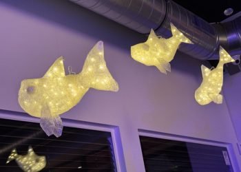decoratie20jaar