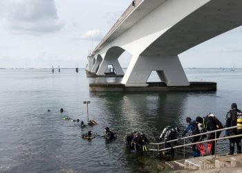duikers-bij-zeelandbrug